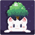 Cat Bird Cat Bird