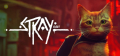 Stray Stray