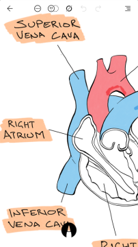 Flow: Sketch, Draw, Take Notes