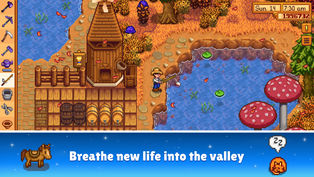 Stardew Valley