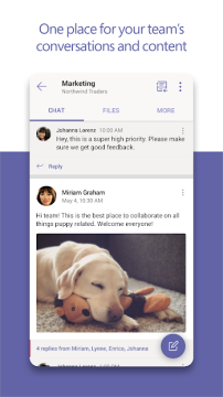 Microsoft Teams